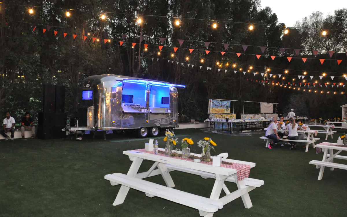 Festival Lights