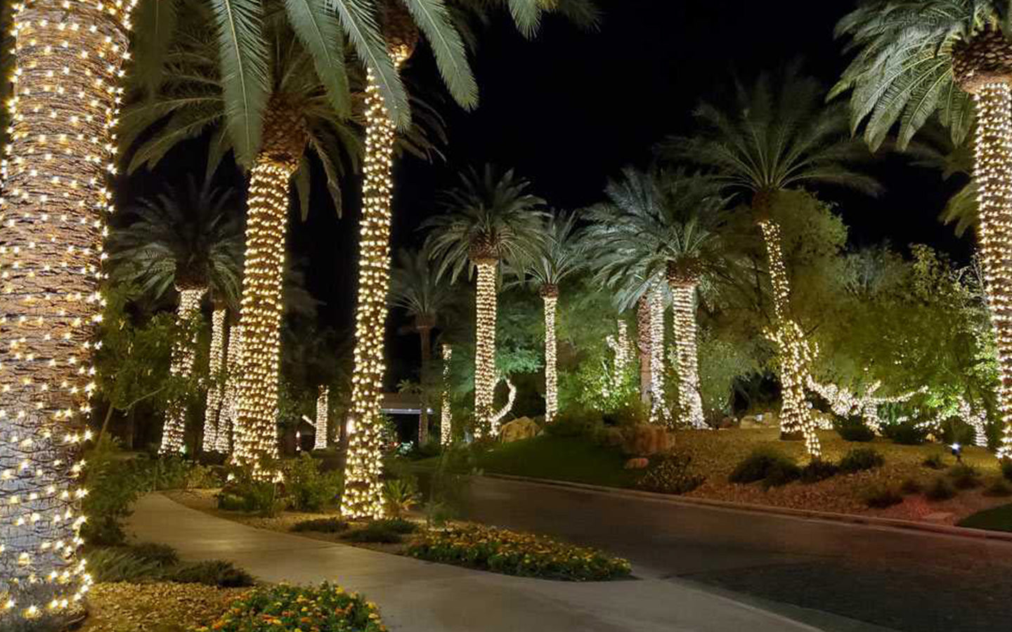 Diwali Fairy Lights on Trees