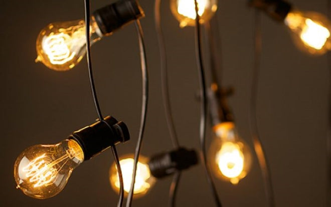 Festival Lights