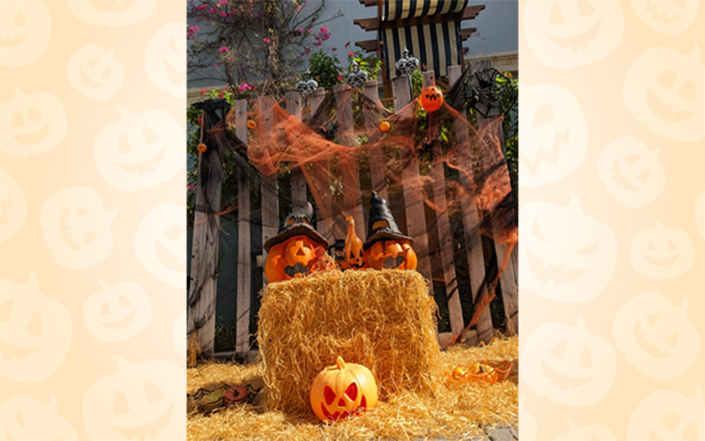 Halloween Decor & Costume