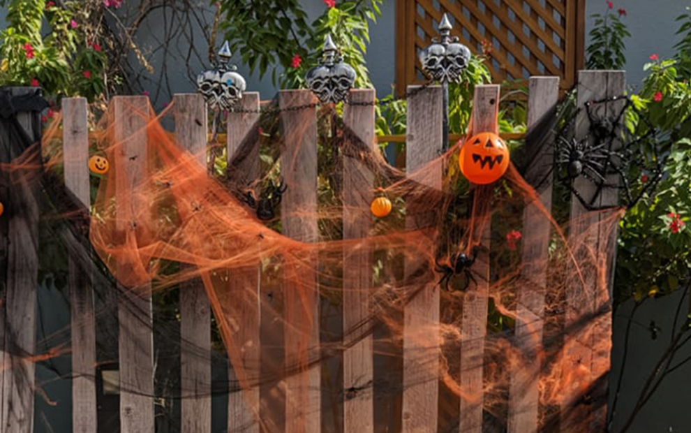 Halloween Decor & Costume