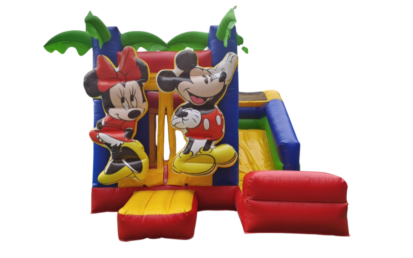 New Mickey Minnie Combo