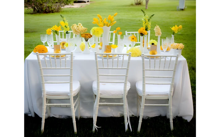 Chiavari Chairs