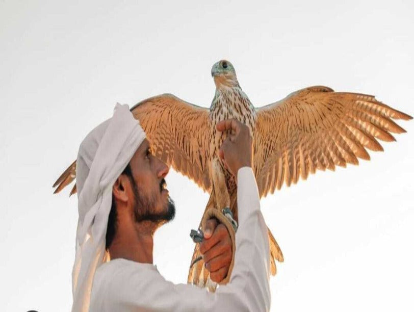 Falcon Person
