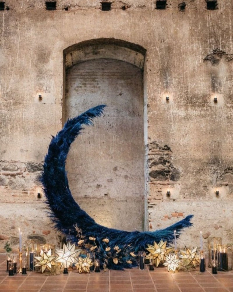 My Moon Backdrop