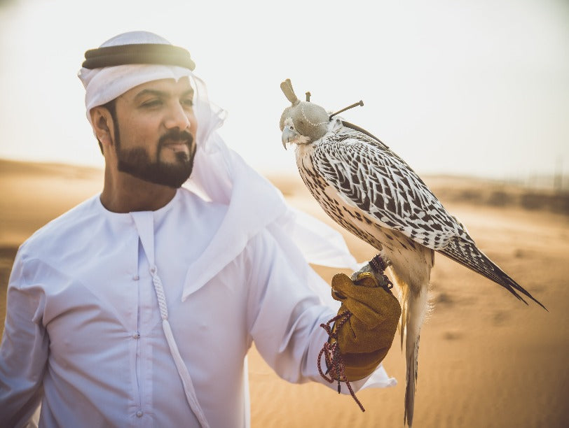 Falcon Person