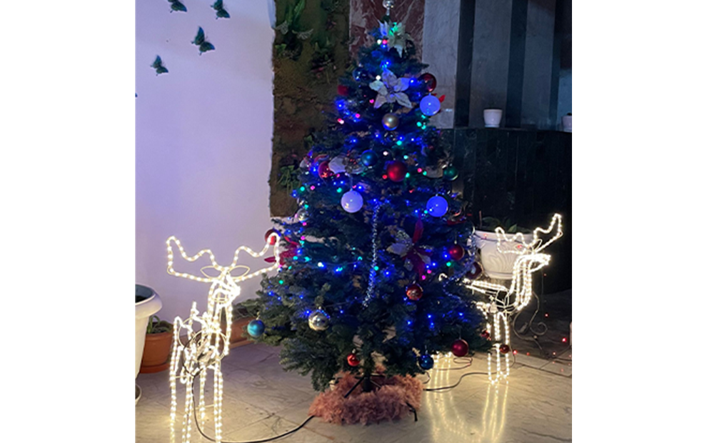 Reindeer and Christmas Tree Combo