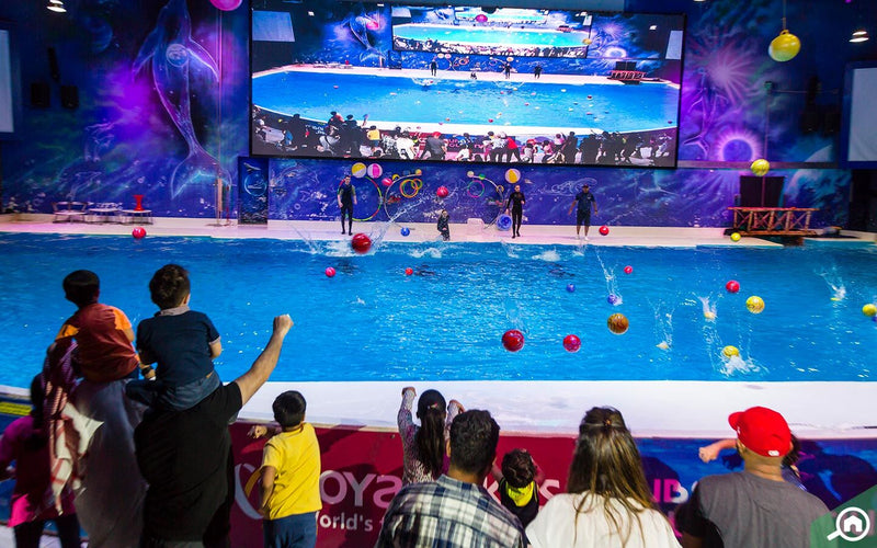 Dubai Dolphinarium