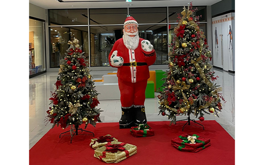 Christmas Tree and Santa Combo