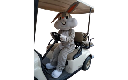 Easter Bunny Mascot
