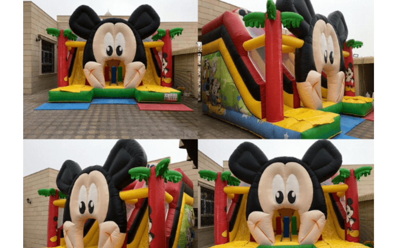 Mickey Slide & Bouncy
