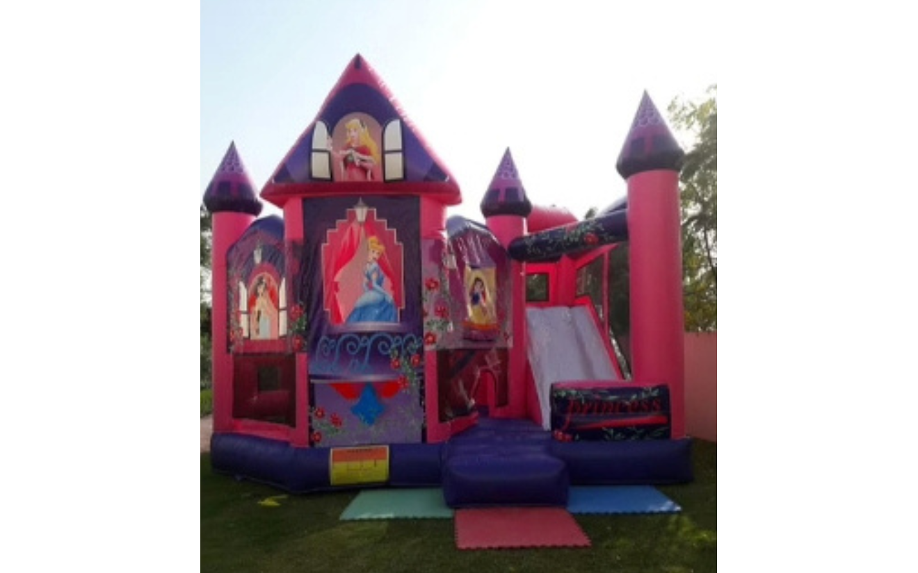 Disney Princess Castle