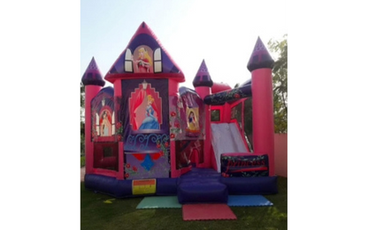Disney Princess Castle