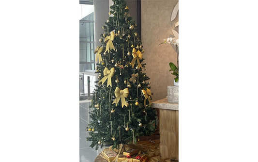 Christmas Tree - 2.5m