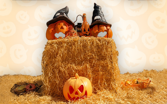 Halloween Decor & Costume