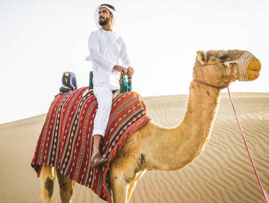 Camel Ride Hire