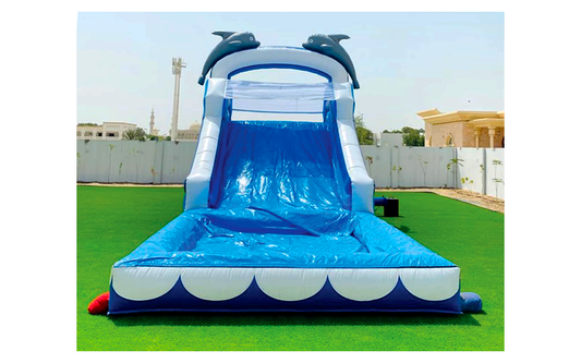 Dolphin Water Slider