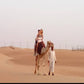 Camel Ride Hire