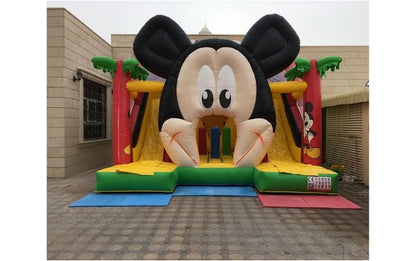 Mickey Slide & Bouncy Dubai