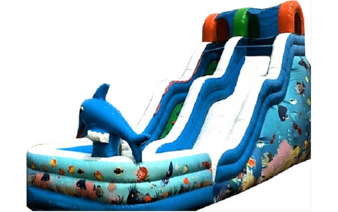 Dolphin Slide Dubai
