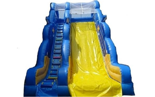 Dolphin Slide Inflatable Dubai